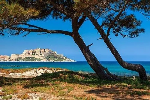 5 Couchages A Calvi (Corsica)